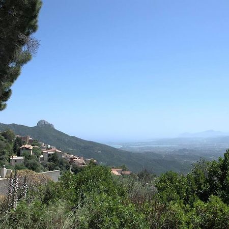 Apartamento Montecolcau Panoramic View Baunei Exterior foto